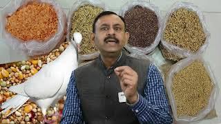 कबूतरों को रोजाना खाने में क्या दे  Pigeon Weekly Diet Plan  Dr Nagender Yadav