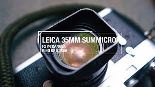 The King Of Bokeh? - Leica Summicron V4 +Sample Photos