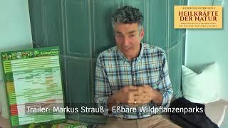 Markus Strauß - Heilkräfte der Natur