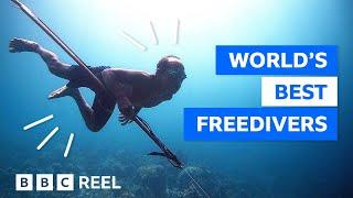 The tribe that evolved to stay underwater longer – BBC REEL