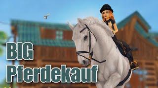  Wir holen ALLES nach - PFERDEKAUF ● STAR STABLE SSO