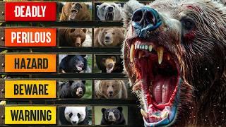The Deadliest Bears in the World