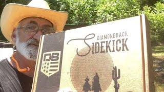 Diamondback Sidekick Range Review