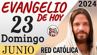 Evangelio de Hoy Domingo 23 de Junio de 2024  REFLEXIÓN  Red Catolica