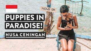 LAST DAY IN PARADISE  Nusa Ceningan  Bali Travel Vlog Indonesia