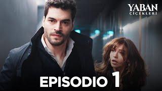 Yaban Çiçekleri - Episodio 1 Sottotitolato in italiano