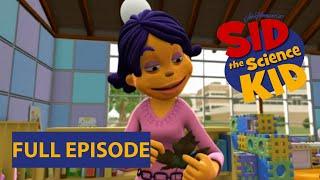 Sid The Science Kid  Dont Forget the Leaves   Jim Henson Family Hub  Kids Cartoon