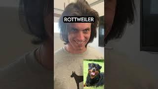 How Dog Breeds React to Robbers Part 2 With Pictures