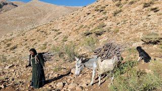 lran nomadic life Maryams exciting trip to the mountains to fetch firewood