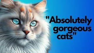 Top 10 Most Beautiful Cat Breeds