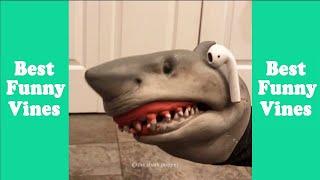 1 Hour of Shark Puppet Tik Tok 2024  Best Shark Puppet Tik Tok