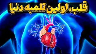 قلب پرکارترین عضو بدن چطوری کار میکنه و چطوری باید نگهداری بشه؟
