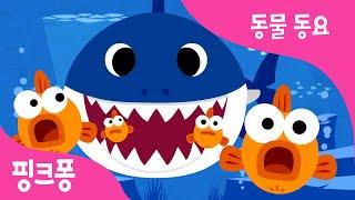 아기상어  상어가족  동물동요  @BabyShark_Korean 핑크퐁 인기동요