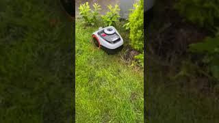 Segway Navimow so Smart