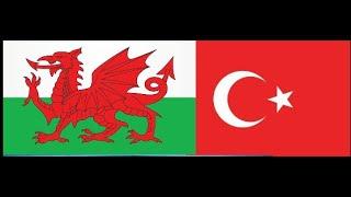 Turkiye-Galler Maç KadrosuTurkey-Wales Match Squad #turkey #wales #Shorts