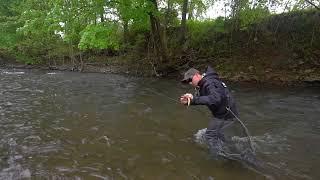 Fly Fishing Central PA for wild Brown Trout  Floating the sighter