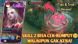 SKILL 2 VEXANA BISA CEK RUMPUT  OPEN MAP TIPS & TRICK VEXANA KHUSUS PEMULA BUILD VEXANA TERSAKIT