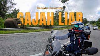 Motovlog  Balik ke Sarang  Ride dari Terengganu ke Kedah