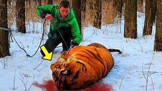 Ein Mann hilft einem sterbenden Tiger. Was dann passiert ist unglaublich