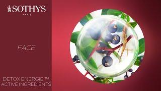 Anti-pollution treatment our Detox Energie™ range inspired by Jardins Sothys™