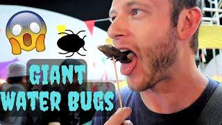 Eating GIANT Water Bugs - Bangkok Street Food