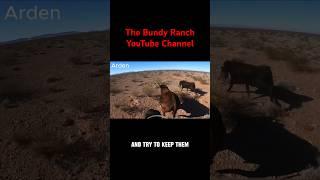 Bundy’s Cowboy Church #RopingBulls#ranching #horse