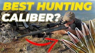 How To Choose The BEST Hunting Caliber