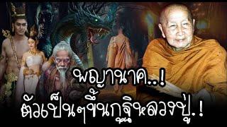 พบพญานาคตัวจริง บนกุฐิหลวงปู่ รวมปาฎิหาริย์ประสบการณ์ของพระธุดงค์กรรมฐานสายพระอาจารย์มั่น ภูริทัตโต