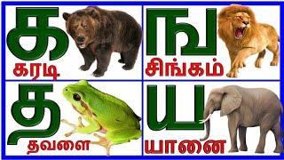 உயிர் மெய் எழுத்துக்கள்க ங ச Tamil consonantsTamil alphabetsuyir mei ezuthukkal @PRINIT1419