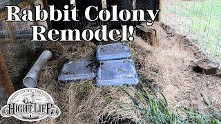 RABBIT COLONY REMODEL UPGRADING THE BUCKET BURROW SYSTEM. Raising rabbits in a colony