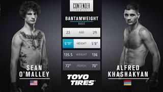 FREE FIGHT  Sean OMalley Scores Impressive KO  DWCS Week 2 Contract Winner - Season 1