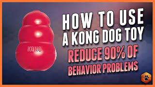 How to Use Kong Toys to Help Enrich Your Dogs Life And Improve Behavior