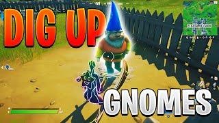 Dig Up Gnomes From Fort Crumpet and Pleasant Park Season 5 Week 5 Epic Quest Guide