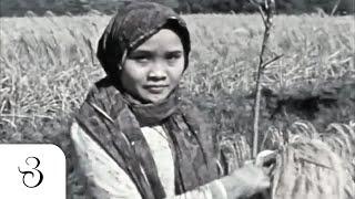 Alam dan Masyarakat Sunda tahun 1938 - Indonesia Tempo Dulu