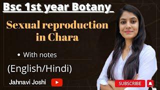 Chara Sexual reproduction Notes Bsc 1st year Botany