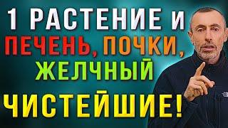 1 РАСТЕНИЕ И ПЕЧЕНЬ ПОЧКИ ЖЕЛЧНЫЙ ЧИСТЕЙШИЕ Нектар для легких и костей