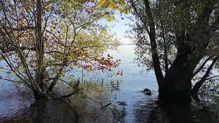 8K Autumn in Verbania Lago Maggiores Peaceful Beauty - Spiaggia dellArena