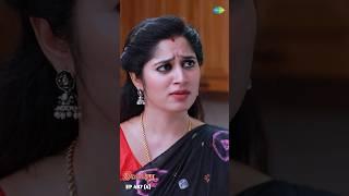 Ilakkiya Serial Shorts  Ep 487 - 4   Shambhavy Nandhan Sushma Nair   #ytshorts #shorts