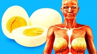 Что Будет с Вашим Телом Если Есть По 2 Яйца Каждый День