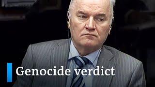 Appeal against genocide conviction Mladic faces final verdict  DW News