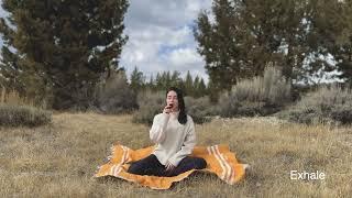 10 Minute Guided Breathing Meditation
