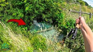 Fly Fishing Farm Fields for Trout Brook Trout Conservation - WV