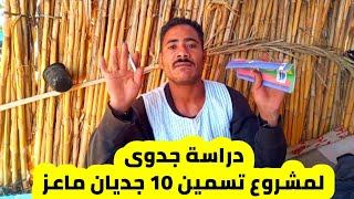 #دراسة جدوي لمشـروع تسميـن 10 جـديان #ماعـز  مع المـربي والمرشـد عمـرو