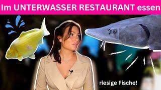 Fisch im UNTERWASSER RESTAURANT la mer essen I Kim Vester