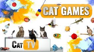 CAT Games  Ultimate Cat TV Compilation Vol 23  2 HOURS 