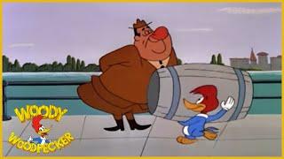 Woody Woodpecker  Niagara Fools  Full Episodes