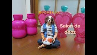 開封！サロンドドゥーズ　Salon de dooz