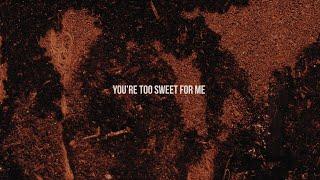 Hozier - Too Sweet Official Lyric Video