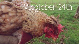 Kitty Cardigans & Chicken Tunics  Vlogtober 24th 2023