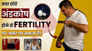 क्या छोटे अंडकोष होने से Fertility पर असर पड़ सकता है?  Causes & Factors  Dr. Himanshu Dhawan